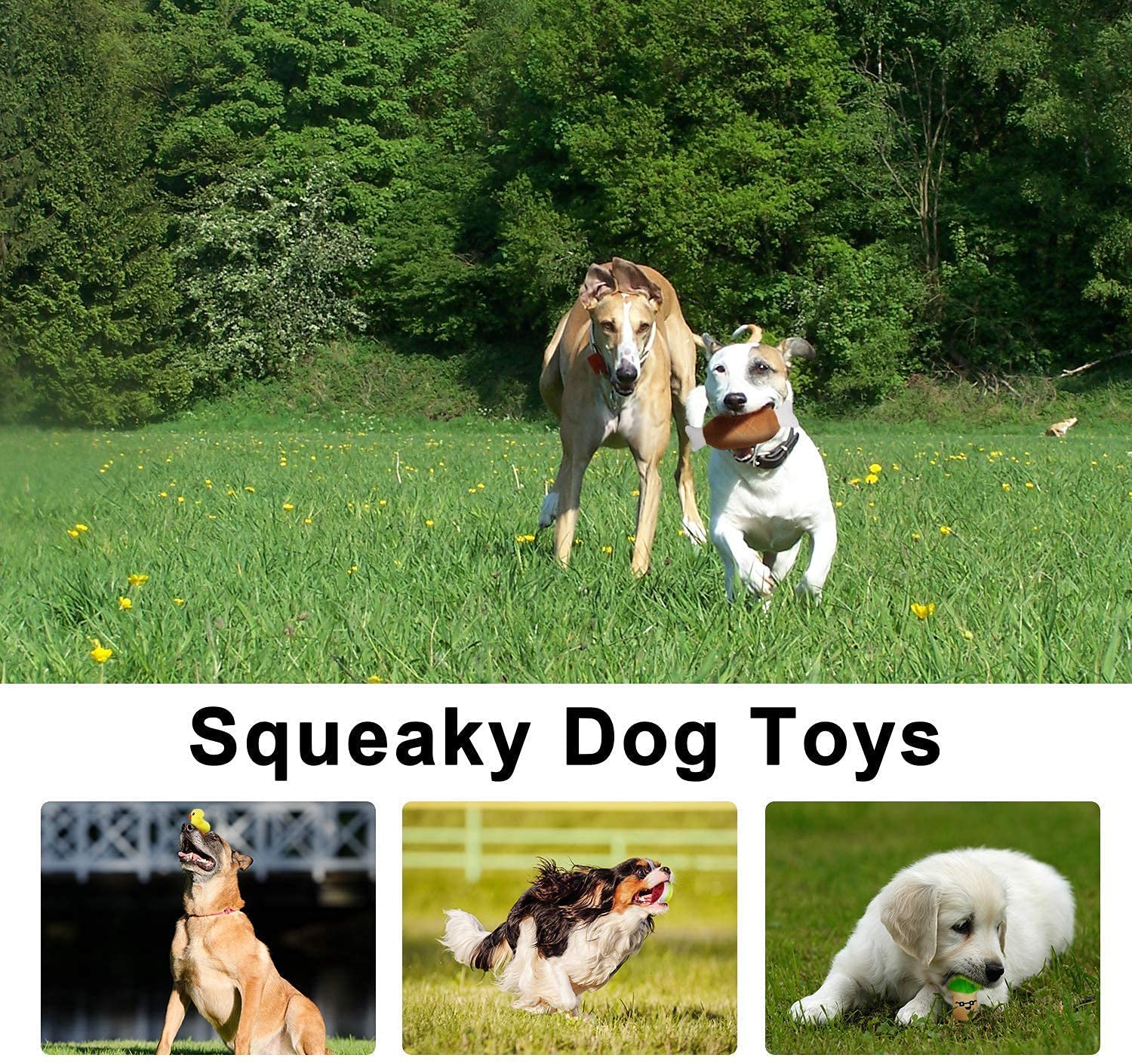 5pcs Squeaky Dog Toys Fruits and Vegetables Plush Puppy Dog Toys (Carrot &  Banana & Eggplant & Strawberry & Mushroom) Random Color 